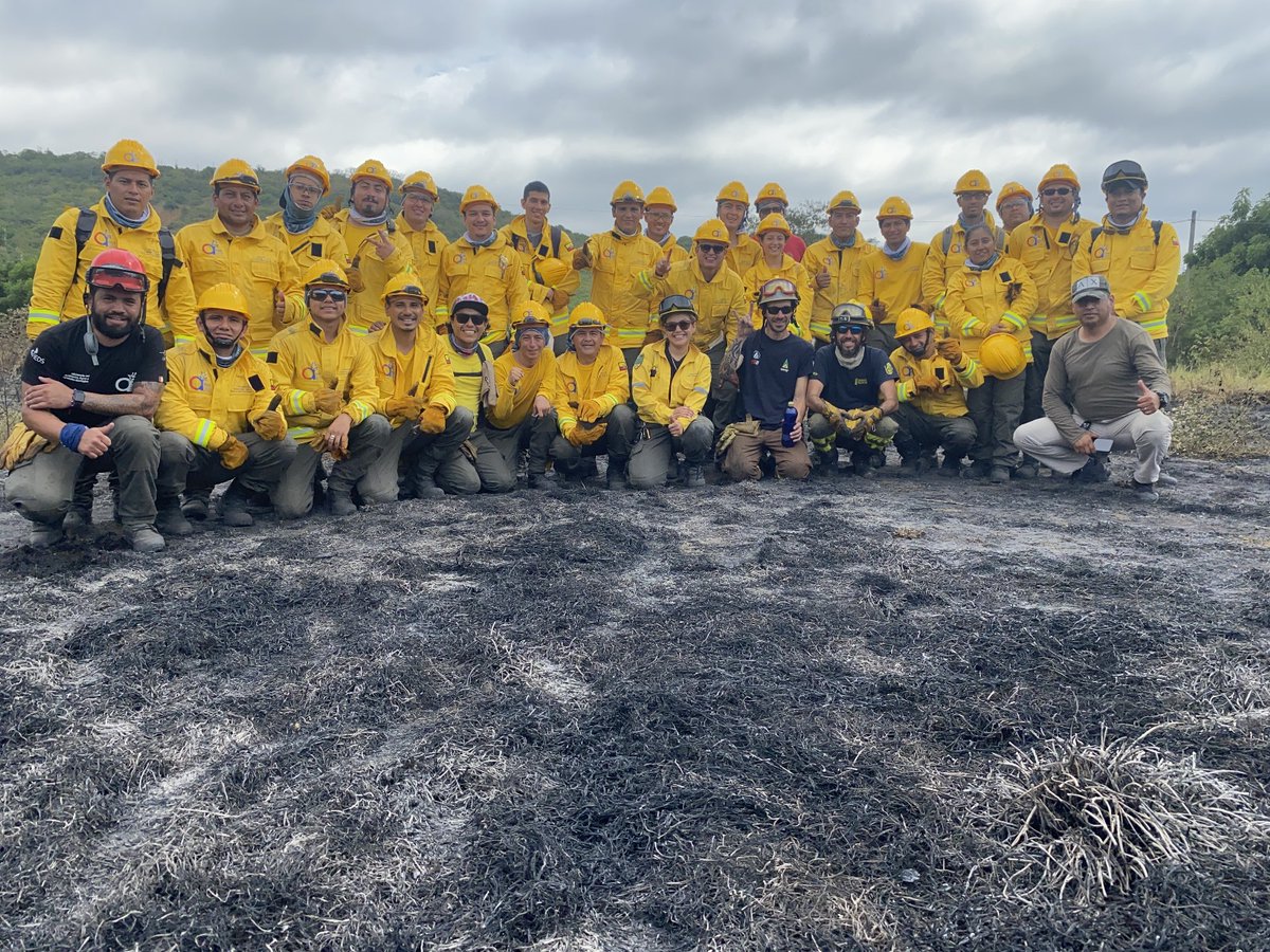 Pau Costa Foundation tweet media