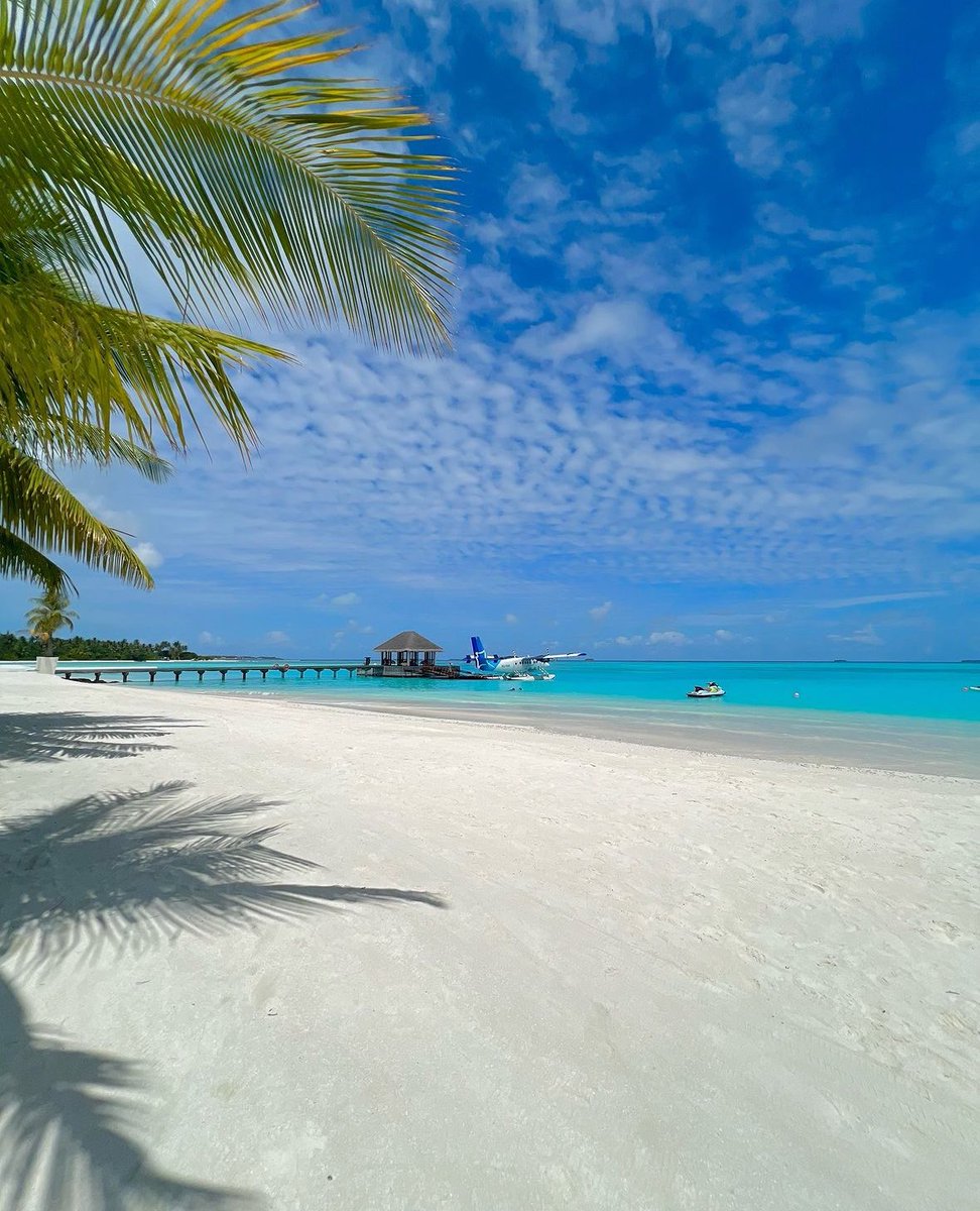 tmbIrpics's tweet photo. Island escape 🏝️ 🌴 https://t.co/LNcDklVnVE