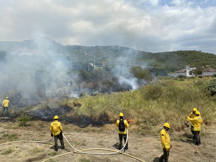 Pau Costa Foundation tweet media