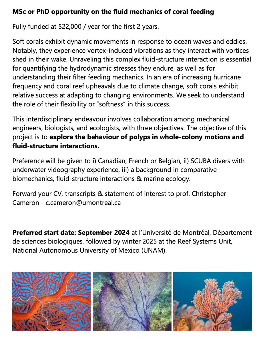 MSc/ PhD position in coral biology between Montreal & Mexico. Svp RT @QuebecOcean @Csbq_qcbs_stu @rqm_quebec @ouranos_cc @gril_quebec @GRIL_Limnologie @_aecbum @philbenthos