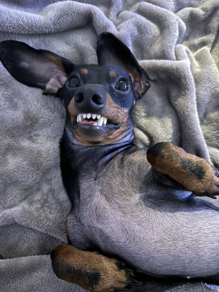 sofizamp_'s tweet photo. Yo procesando q es lunes || yo cuando me acordé q tengo guiso de lentejas de mi madre para almorzar https://t.co/L7xFXhvW4U