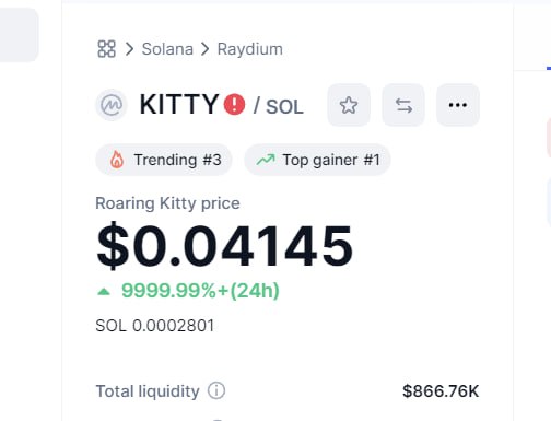 Everyone who bagged $kitty turned a millionaire today 💸