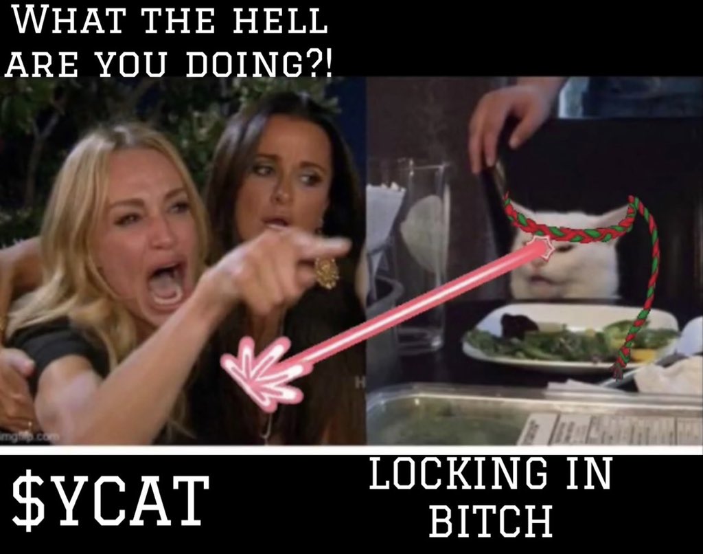 Theycallmethor's tweet photo. @mushmoonz SO MUCH HIGHER BRO!
COMMUNITY IS COOKING RIGHT NOW! $YCAT 
CONTENT 🔥 
DEV BASED 🔥
COMMUNITY CHADS
WERE GOING HIGHER WITH THIS HISTORIC MEME!
@ycatonsol https://t.co/FUh305TNWM