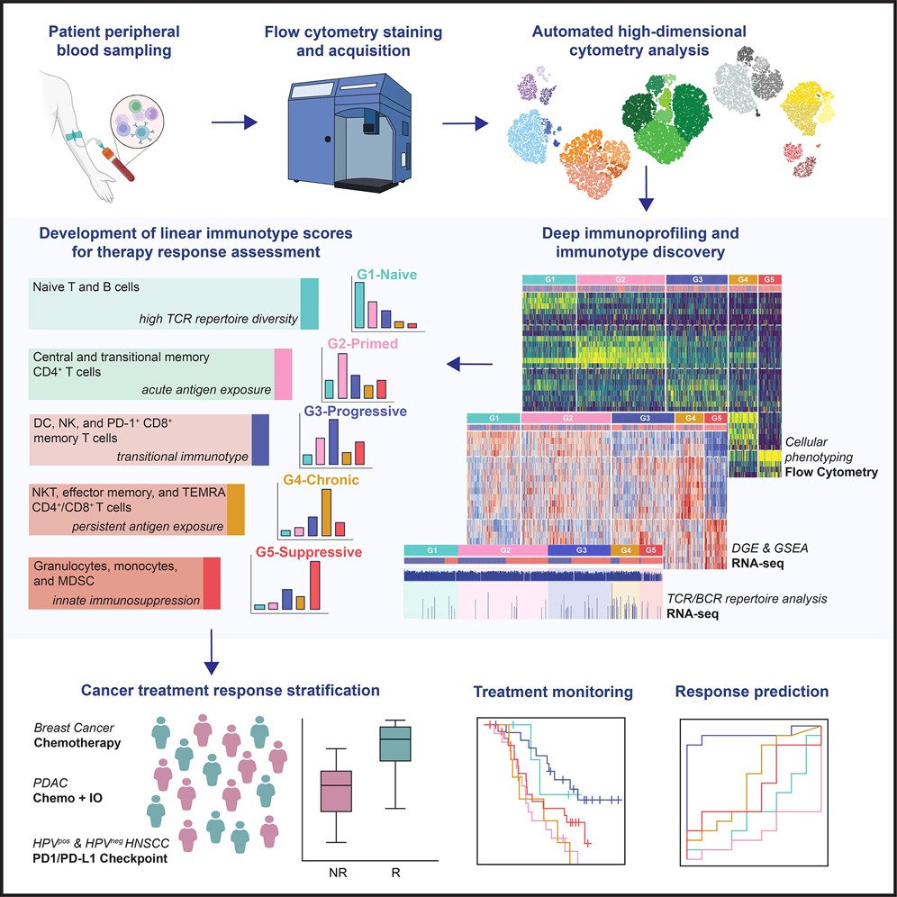 Revolutionizing Cancer Care 🩸🧬🔎A new machine learning-based immune profiling platform uses blood tests to identify five unique immunotypes in cancer patients. ⭕️This simple test can predict treatment responses, personalizing cancer therapy and improving outcomes.