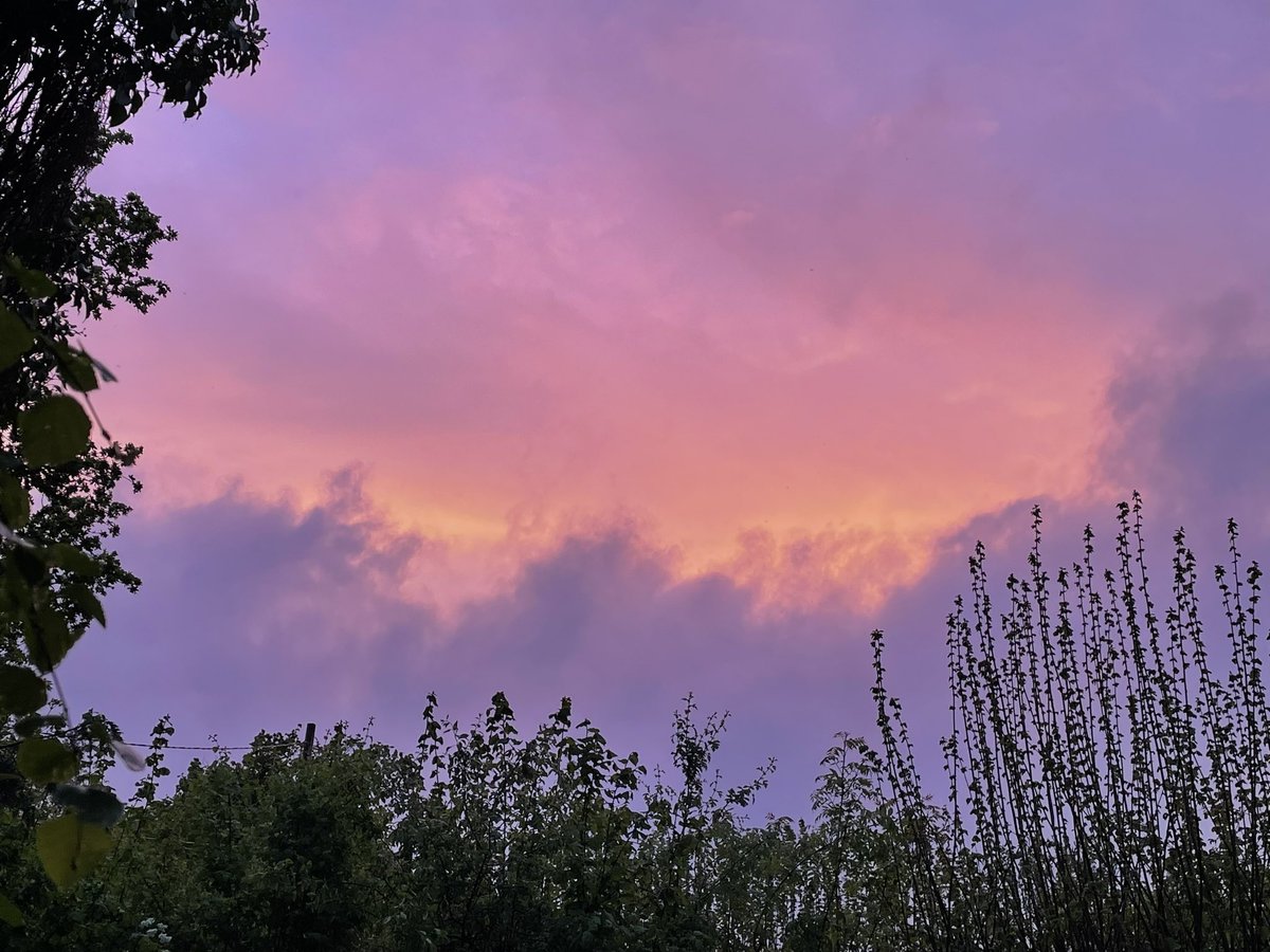 Rather fabulous sky briefly #sunset #devon #loveukweather