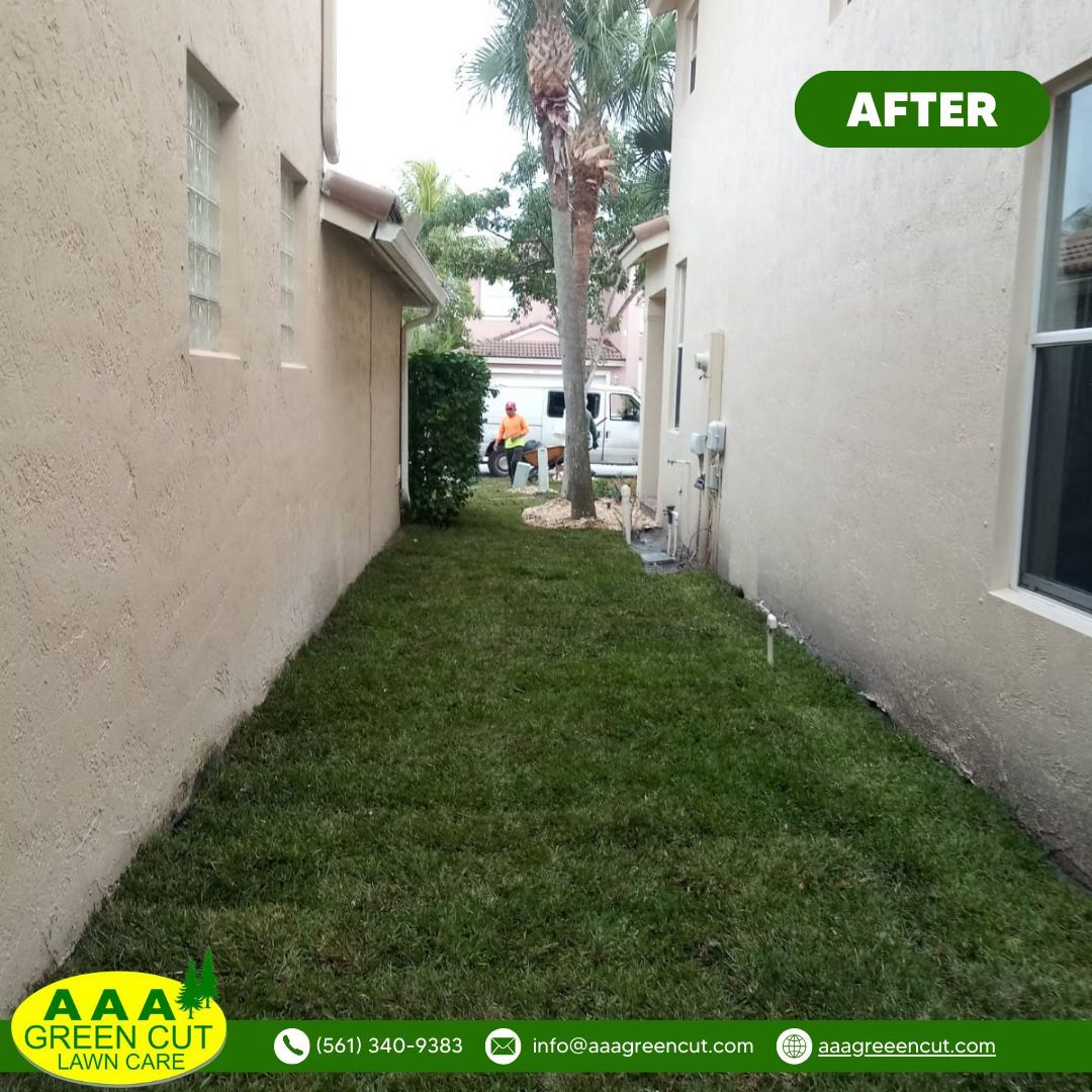 Transform Your Lawn: Before and After Sod Installation! 🌱✨ Witness the remarkable difference in our recent sod installation project at AAA Greencut. Contact us today to schedule your sod installation service and enjoy a lush, beautiful lawn in no time! #SodInstallation