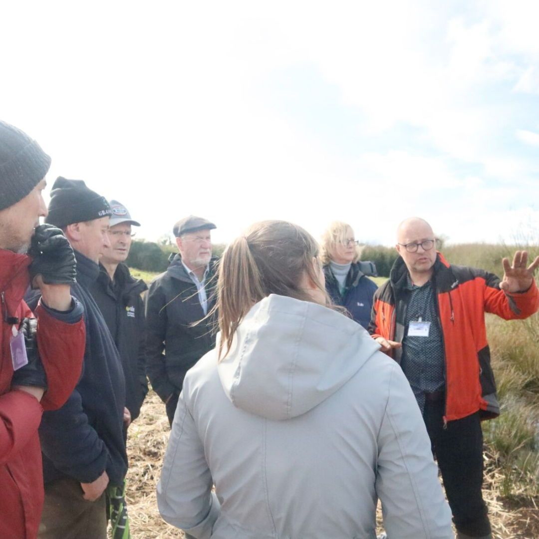 A delegation from the North composed of a team from the @ulsterwildlife Trust, DAERA and the AFBI came down to the Midlands with Green Restoration Ireland to look at our peatland restoration work and agriculture and paludiculture trial sites. 🌿🐝 #greenrestorationireland