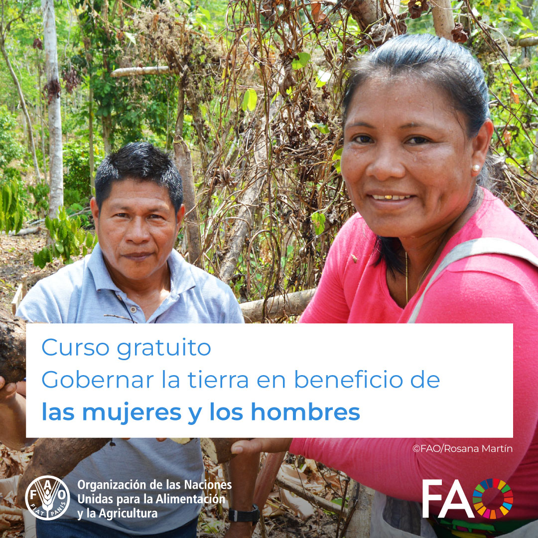 🎓 ¡Curso GRATUITO de @FAOCampus! 🧑‍🌾 👩‍🌾 Gobernar la tierra en beneficio de las mujeres y los hombres Para aplicar las Directrices voluntarias, para que mujeres y hombres accedan a la tierra en condiciones de igualdad. ¡Matricúlate! ➡️ bit.ly/3JeoikI