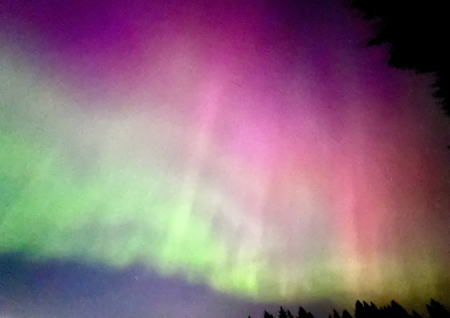 webbish6's tweet photo. The Aurora of Firefoxes in the Sky, Signs of Summer Already, and How Sometimes I Don't Feel like a Writer: https://t.co/3IQEcOyHYP #writinglife #aurora #signsofsummer #livingwithMS https://t.co/2SfIiDnMvI