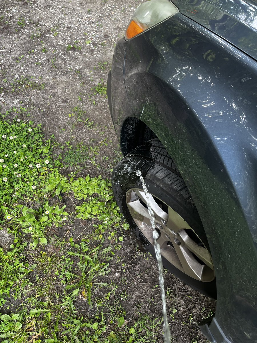 Gnomecliff's tweet photo. Its legal who cares? #carpiss https://t.co/cdnsRjYHma