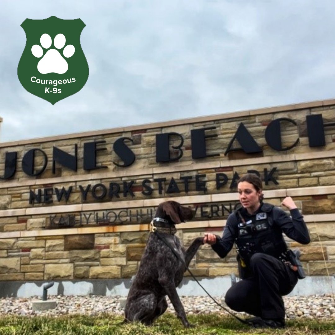 Meet Kairos! This German Shorthaired Pointer is celebrating his one-year anniversary as a Park Police K-9 next month. He specializes in explosive detection and works in Long Island with Aleska McCumber, the agency’s first female K-9 officer. Read more at ow.ly/876J50REQZg.
