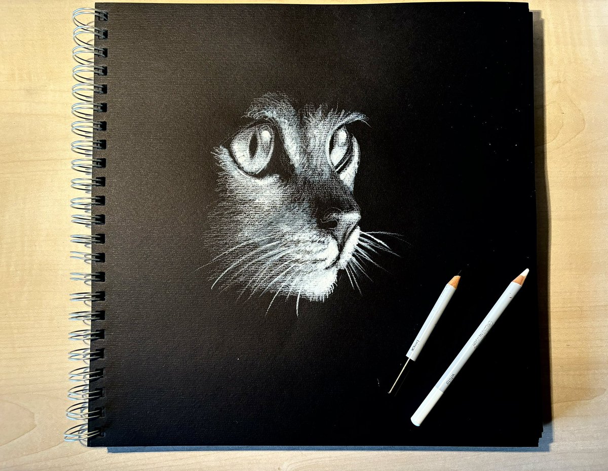 Aprenem a dibuixar amb llapis gras blanc sobre paper negre, tot recordant el nostre gat Gus. #aprenemadibuixar #gat #catart #drawing #drawingsketch #blackandwhite #sketch #sketchbook