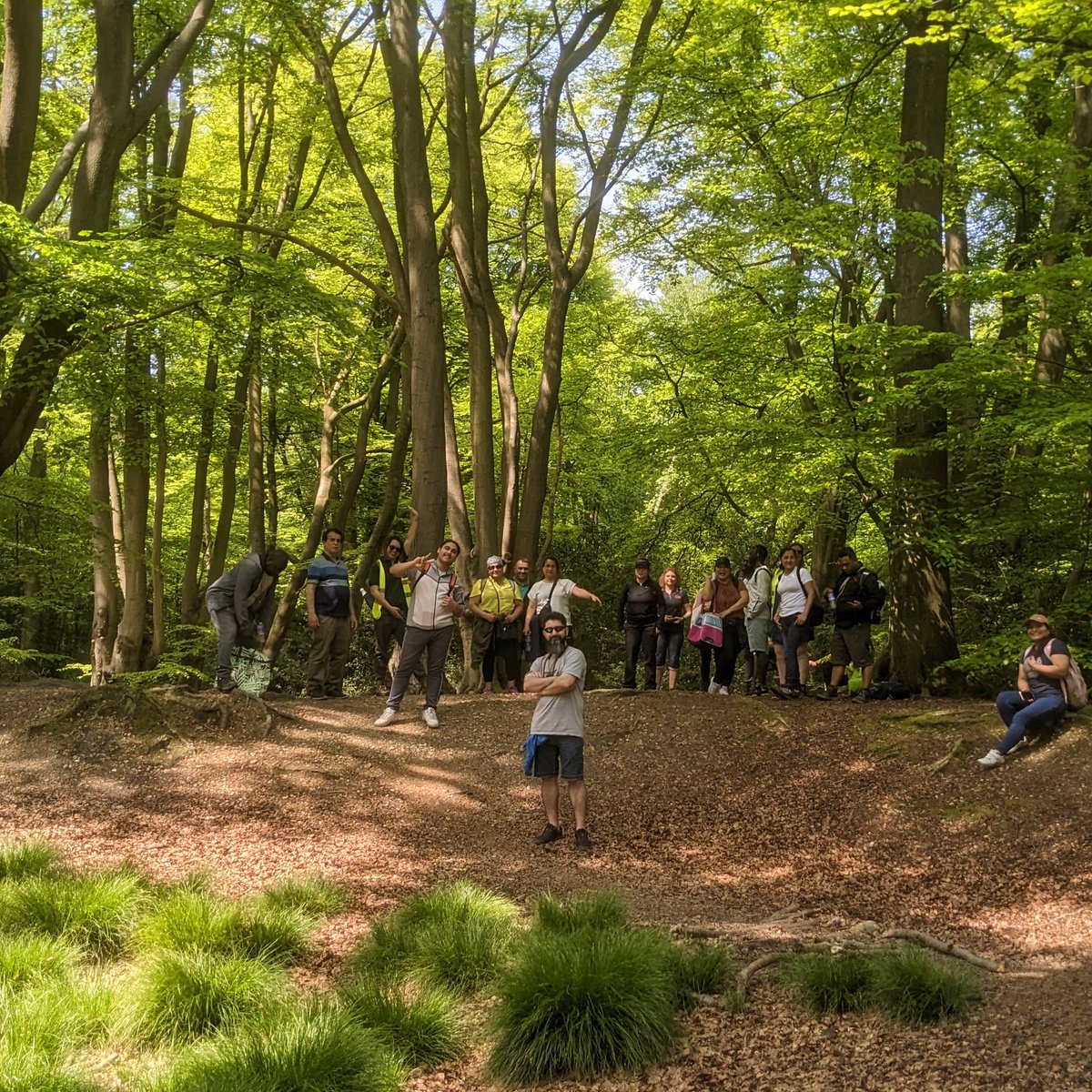 On Sat we enjoyed a spectacular guided walk through Epping Forest as part of #urbantreefestival!
Our @EppingForestHT guide brought us deep into the forest via undulating Iron age earthworks, Tudor hunting lodges  & gravel-pit lakes teeming with clumsy ducklings
#RefugeesWelcome