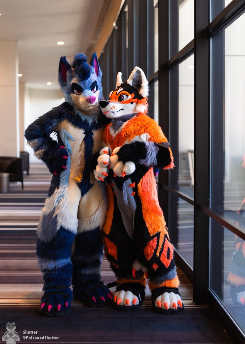 Shutter 🔜 FCL tweet media