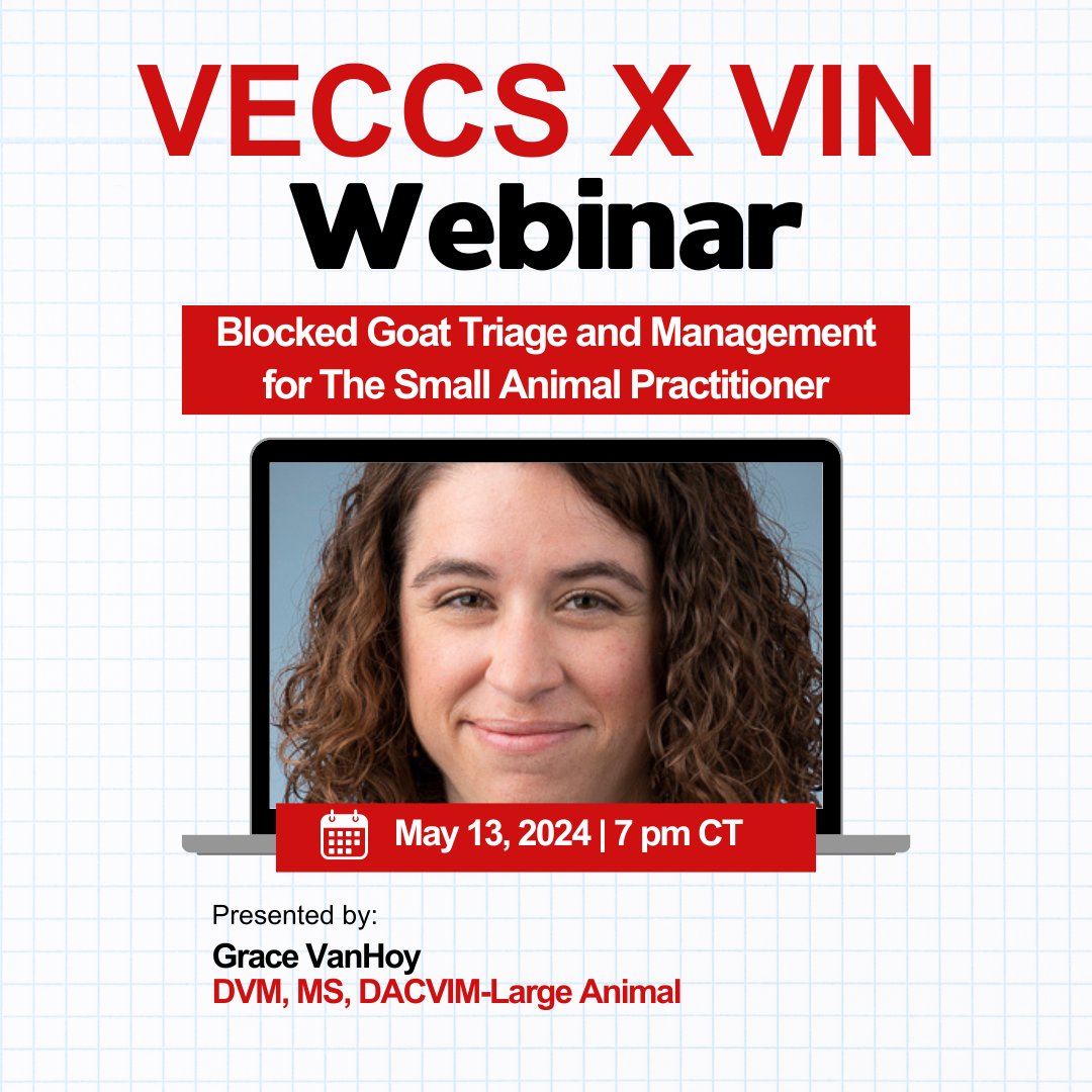 Join us tonight at 7 pm CT for tonight's VECCS VIN Webinar featuring presenter Dr. Grace VanHoy. They will be discussing "Blocked Goat Triage and Management for The Small Animal Practitioner." Don't miss out on this valuable session.