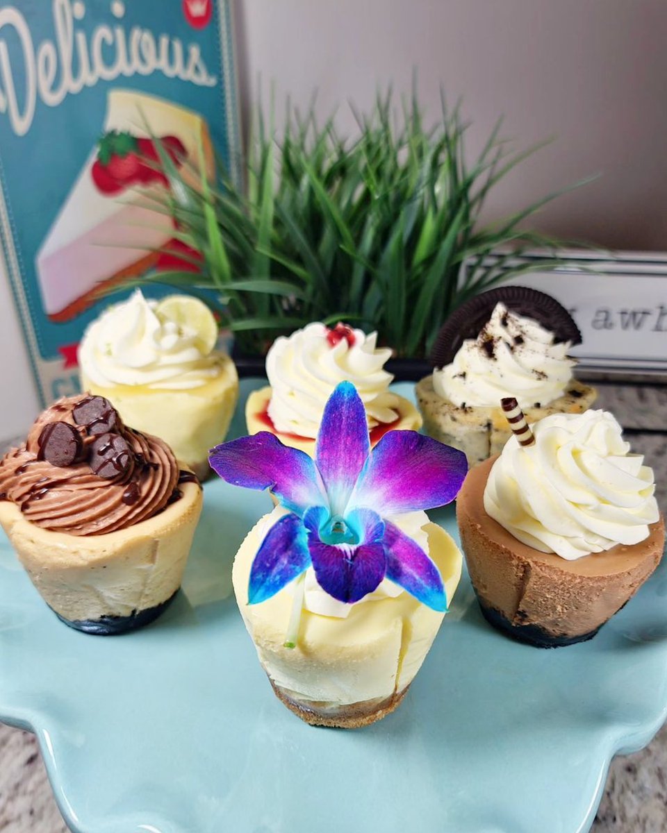 🍰 Got a sweet tooth you just can't shake? Look no further than The Cheesecake Cutie in Holmes Beach! 😍 Indulge in a slice of heaven with their wide array of cheesecake flavors, including irresistible single-serving 'cuties' – the perfect treat for one! 🎉 #BradentonArea