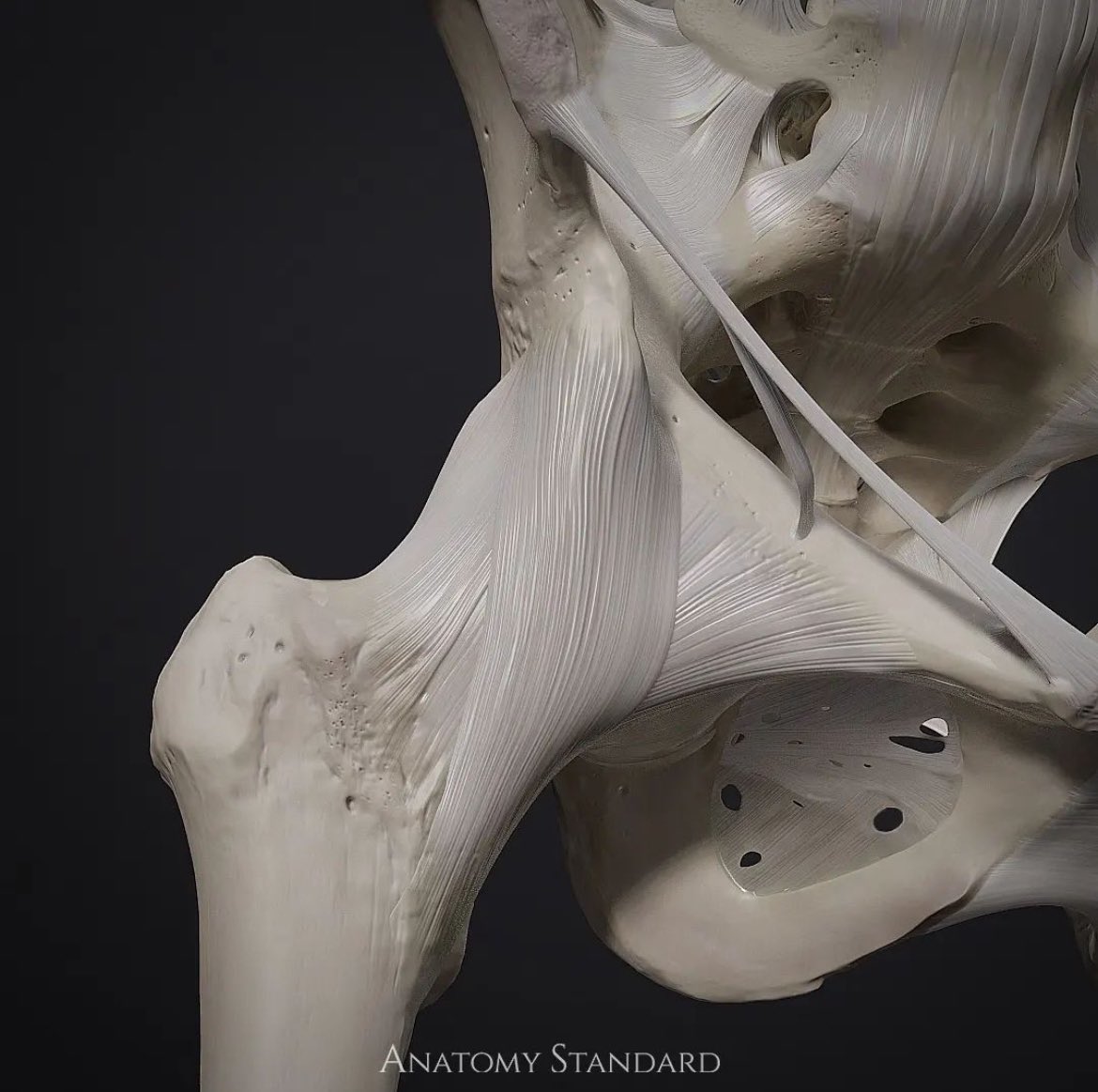 99% of low back pain cases I see don’t have:

* Fundamental range of motion of the hip joints.
* The ability to disassociate the hips from the pelvis/lumbar. 
* Good control of joint workspace (CARs)

Too much joint interdependence. 
Not enough joint independence.