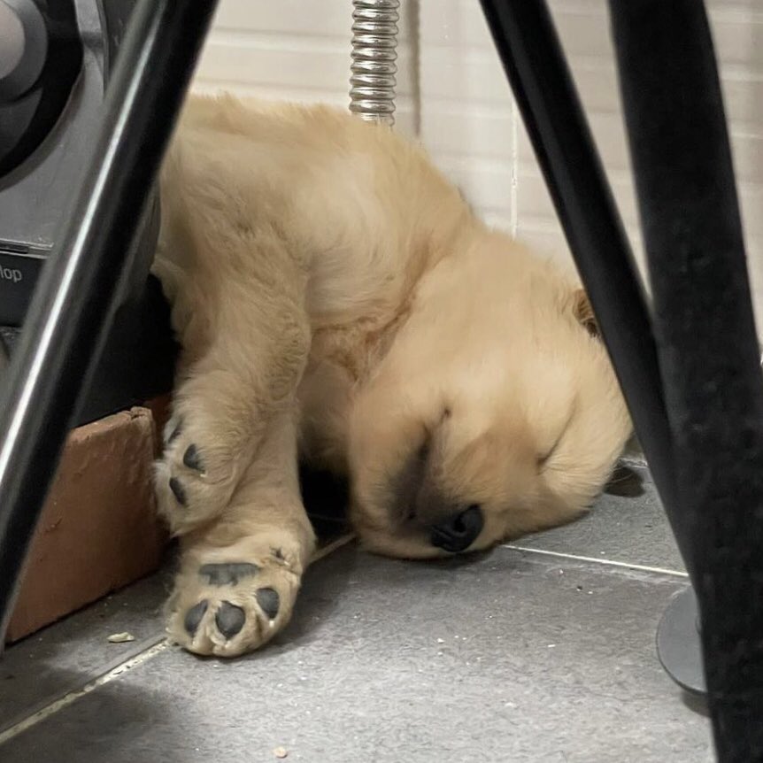 มั่ยง้วงคับ เทอตามสบายเลย