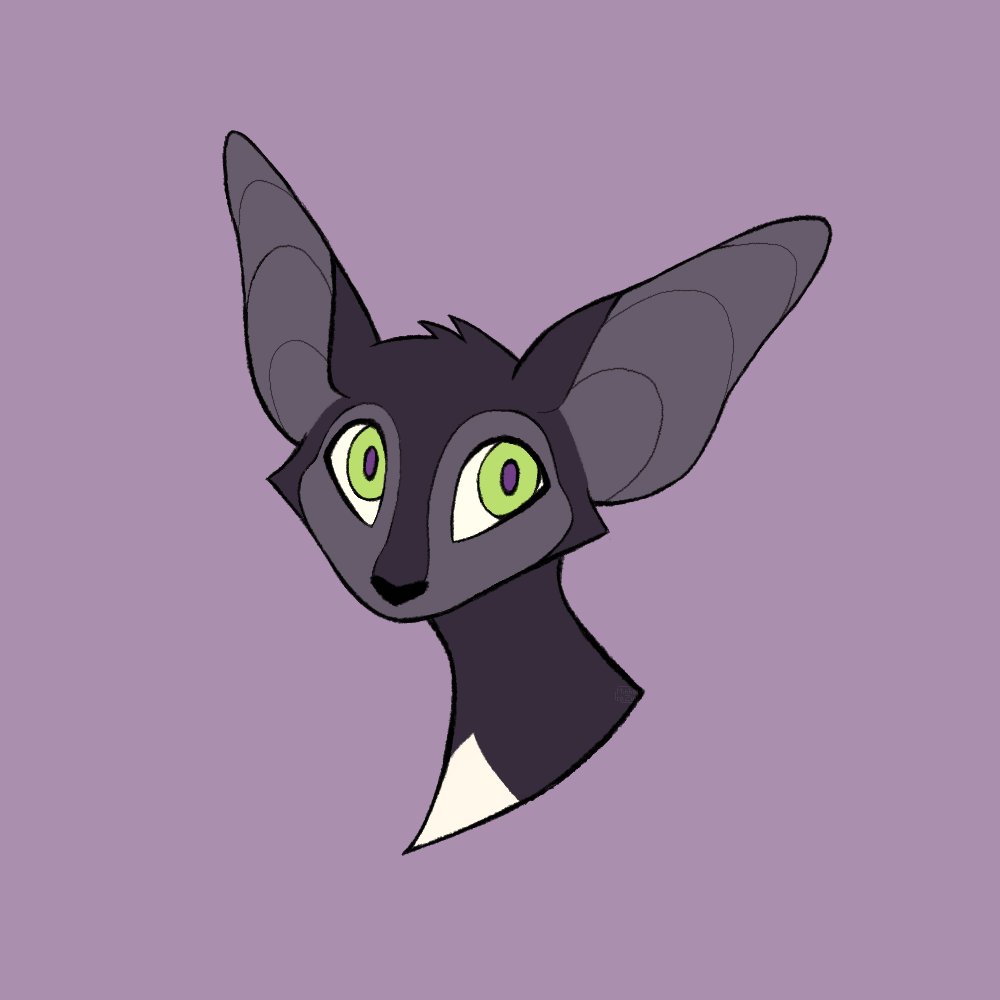 ravenpaw study