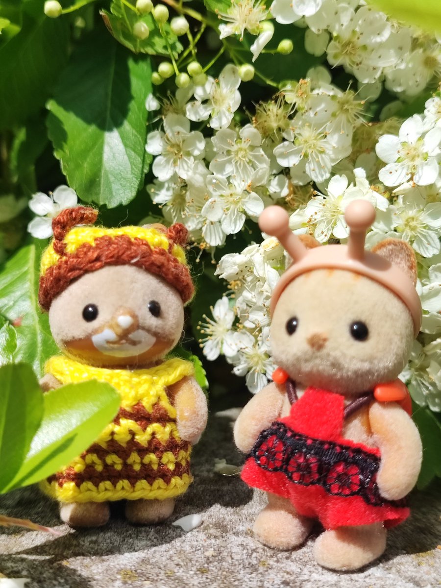 schrei_und_tod's tweet photo. Flowers of Spring 🌼
#cute #かわいい #cutenessOVERLOAD #シルバニアファミリー #シマネコ #シルバニアの赤ちゃん
#calicocritters #SylvanianFamilies #ShimaBebe #AmosShima #ShiBee🐝 https://t.co/erhJgTSyFa