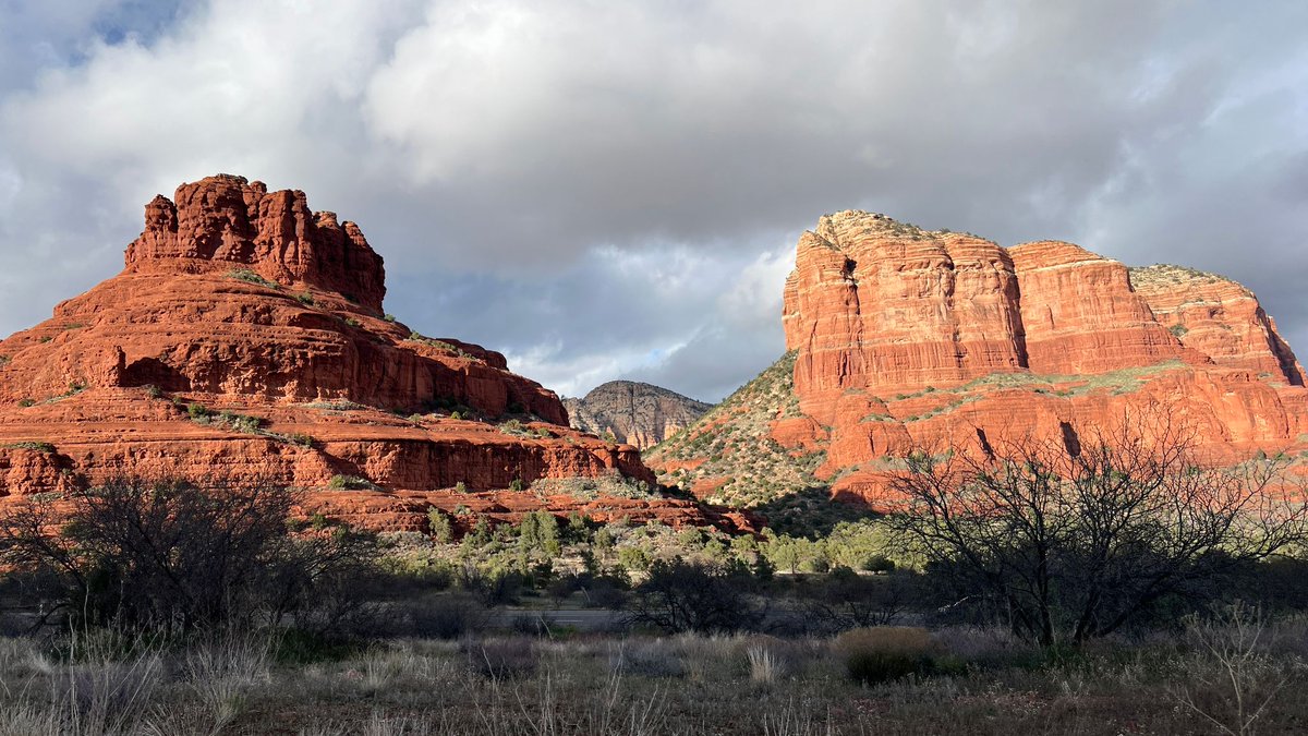 Did you know? Sedona, Arizona, is home to one of the most diverse ecosystems in the world, boasting a range of flora and fauna found in few other places.

This includes over 300 species of birds, numerous reptiles and amphibians, and various mammals.
🌵🐦 🏜️🦎

#VisitSedona #Book