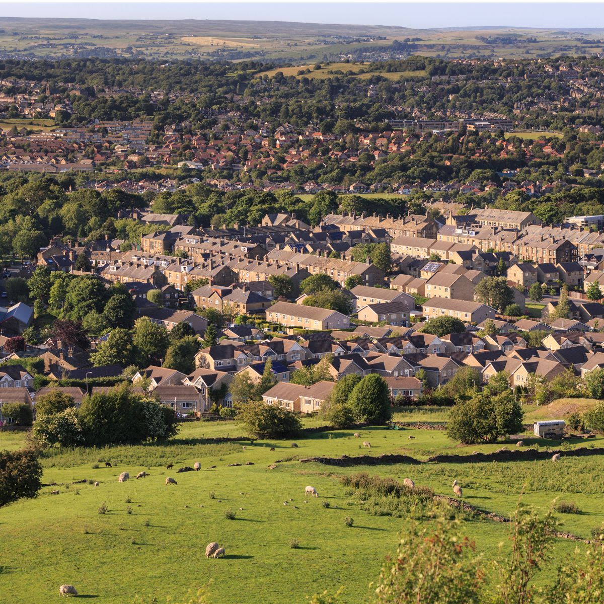 A paper from Prof. Debra Wunch's lab looked at the ability of the Greenbelt to remove carbon dioxide from the atmosphere and modelled its ability to remove carbon dioxide if the proposal to develop parcels of the Greenbelt was passed. 
buff.ly/3UWBKBs