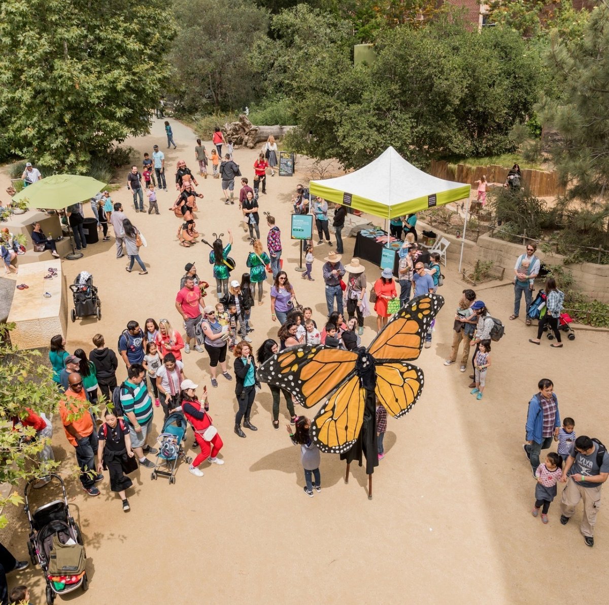 Get ready to bug out at the 38th Annual Bug Fair, hosted by @nhmla 🐞🦋 Get up close & personal w/ live insect encounters, hands-on activities & immersive exhibits May 18th &19th. 🐝 Get tickets nhm.org/calendar/bug-f… #BugFair2024 #NHMLA #InsectLoversUnite #dtla