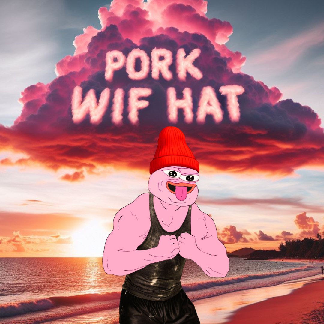 @Eljaboom @TheRoaringKitty Hey Elja, please do check out @Porkwifhat_ on SOL, it’s at just 60k mcap, easy 100x if you understand the wifhat economy and the potential of $PORK.
