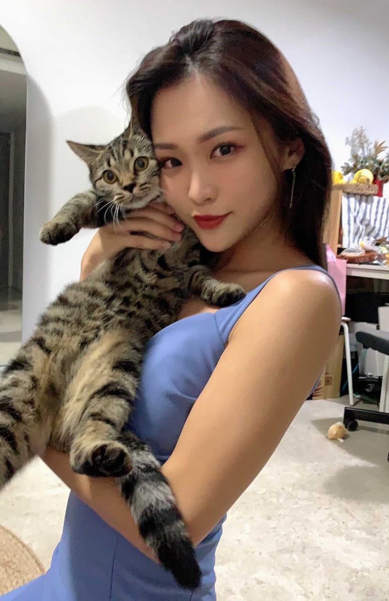 Irene Zhao tweet media