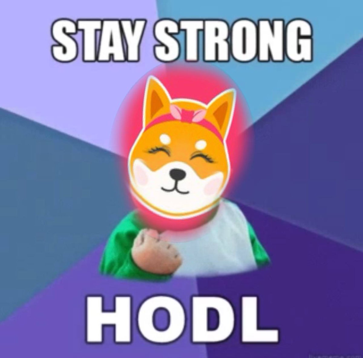 ShibaGirlfriend's tweet photo. Stay strong fam 💪🏽 🙌🏽 https://t.co/FkDqhC3mxB
