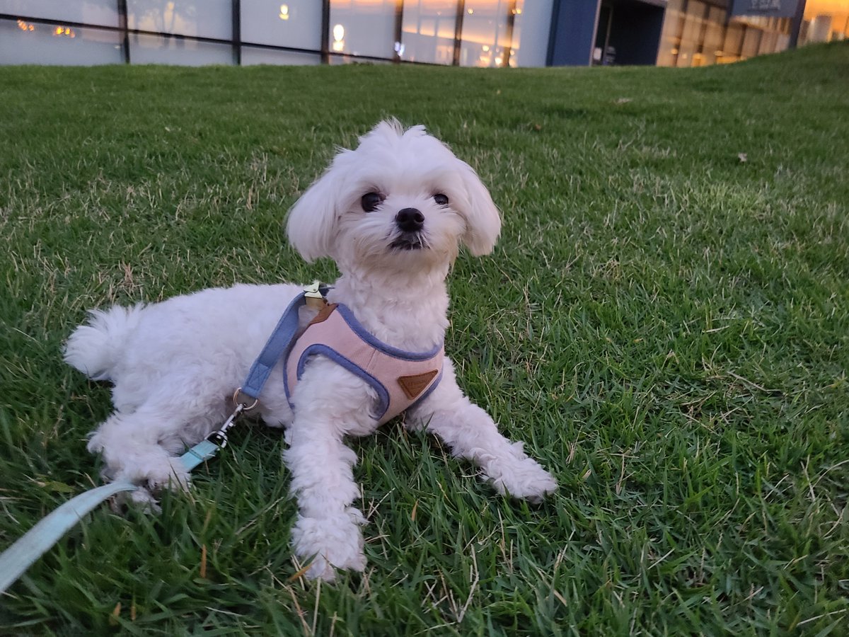 KIM앨리 tweet media