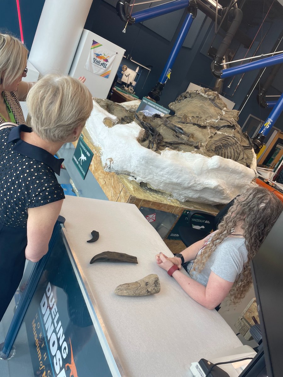 Had a wonderful time roaming around @NaturalSciences' new Dueling Dinosaurs exhibit, taking a step back in time & studying these two rare dinosaur fossils like a paleontologist! 🦖🦕