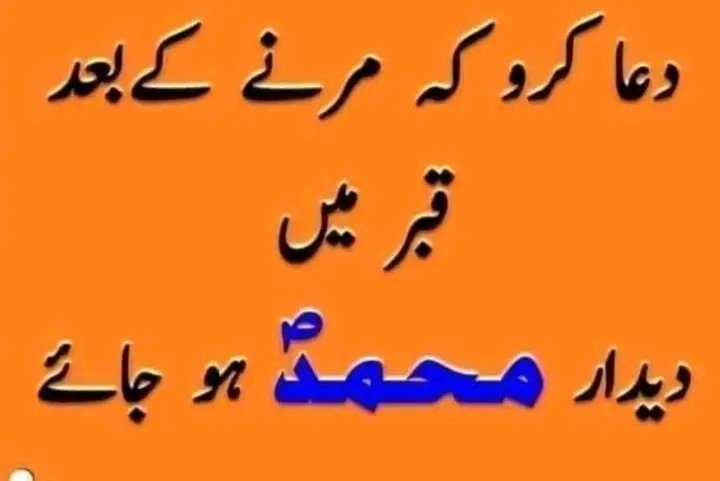 بالکل درست ✍️👍👍
آمین یا رب العالمین💐