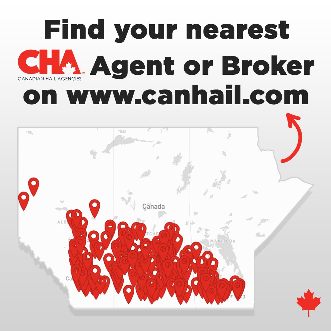 canhailagencies's tweet photo. https://t.co/bHAXYK6LTC