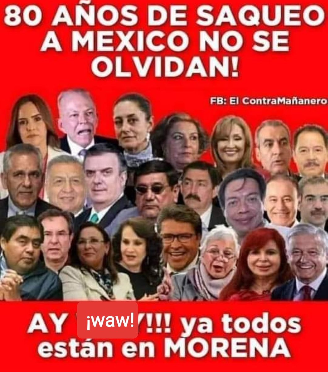 elvia perez tweet media