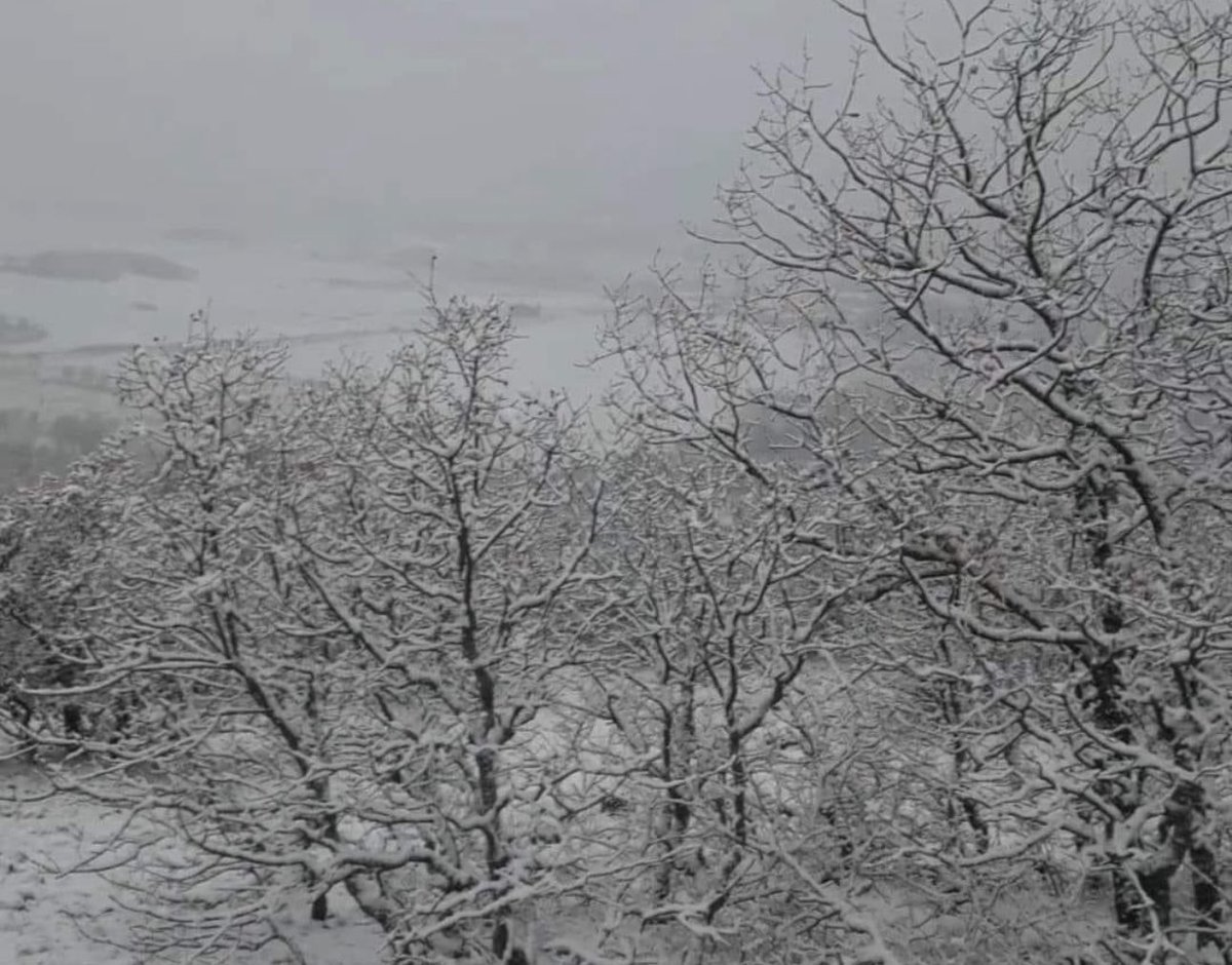Ankara Kızılcahamam’da kar yağışı başladı ❄️