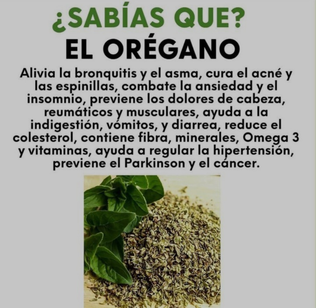 BienestarYM's tweet photo. ✨🍉🥥🌱☀️Tip Salud☀️🌱🥥🍉

✨🍋EL ORÉGANO🍋✨

🌟Dime: "Gracias" si te gustó🌟 https://t.co/D5ykOx9VTq
