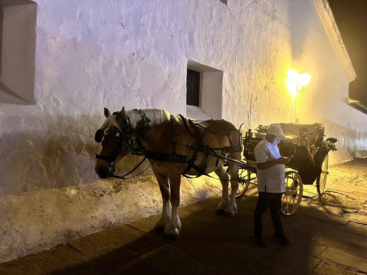 feliperamiirez's tweet photo. El fin de semana estuve en Villa De Leyva, y esto me rompió el corazón, un animal atado, cargado y llevando gente todo el día. Alcalde @victorgamboa1 las carretas están condenadas al pasado, hay opciones eléctricas. Ojalá y su alcaldía esté con los animales.  @andreanimalidad https://t.co/5D00398bW1