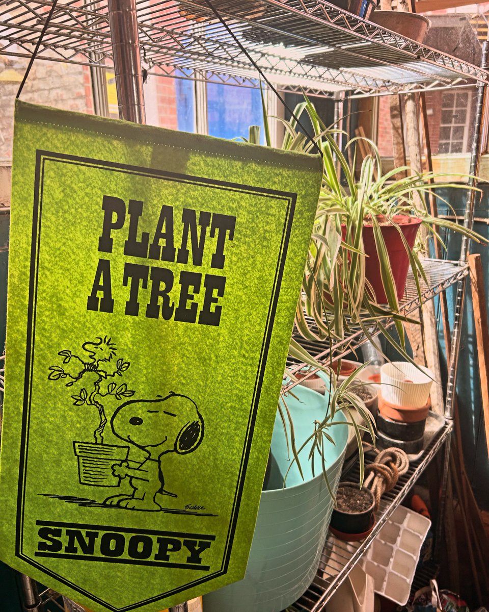 Dominic Jones tweet media