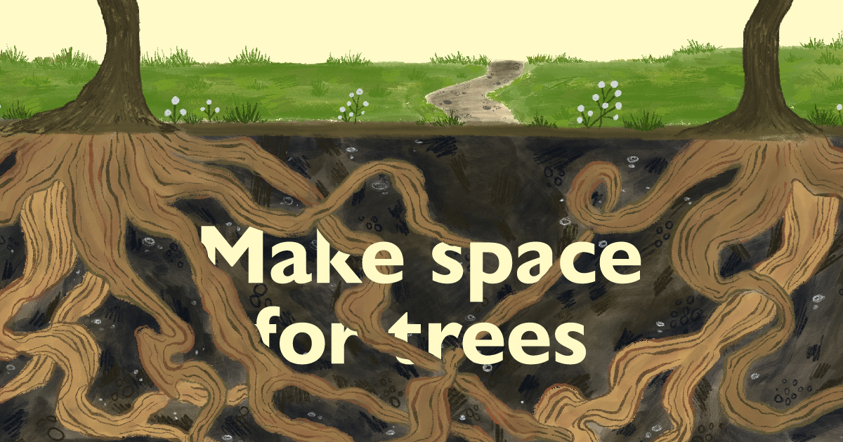 Do you have ideas that would help keep our city trees as we grow? We're working on an urban forest management plan to help maintain and enhance our urban tree canopy to 2050. Visit engagewr.ca/future-of-tree… to give your feedback.