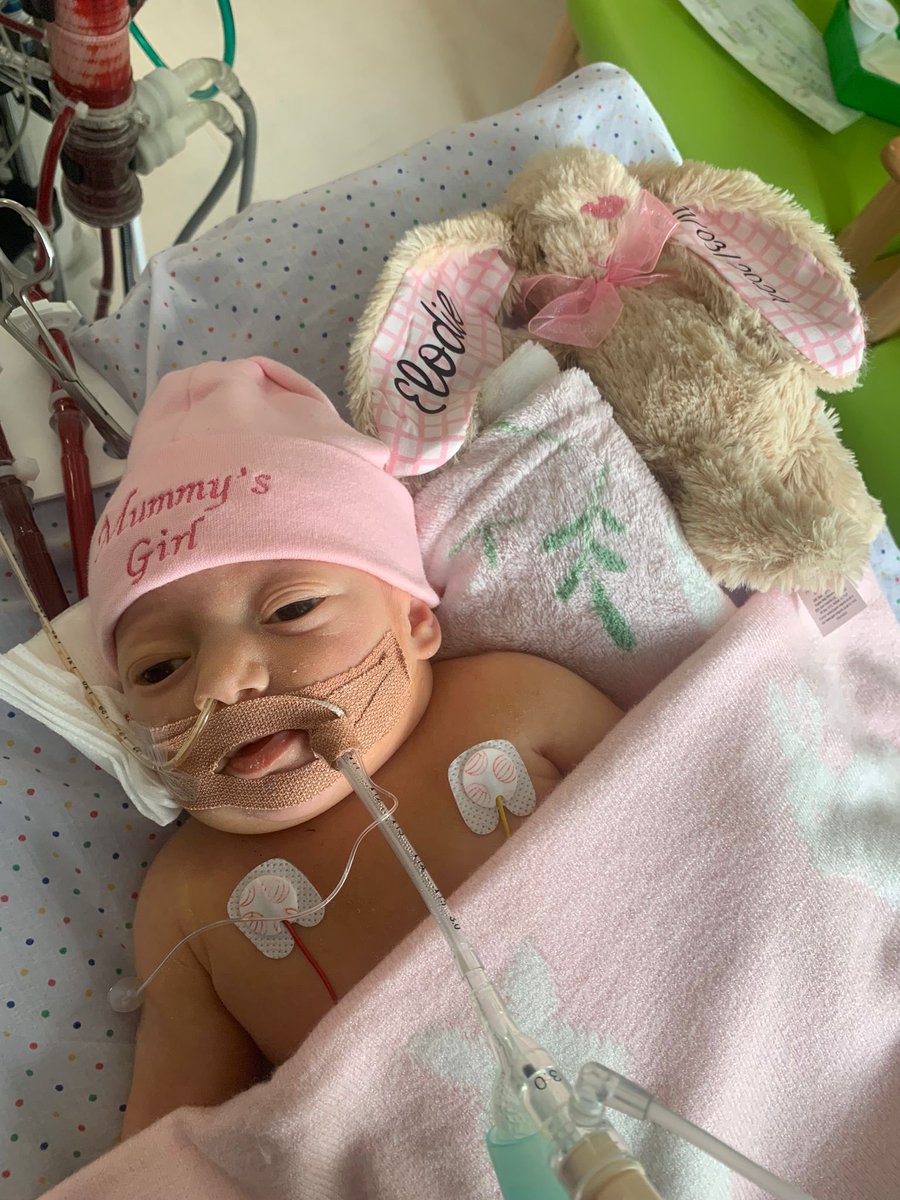 Sally Ogden tweet media