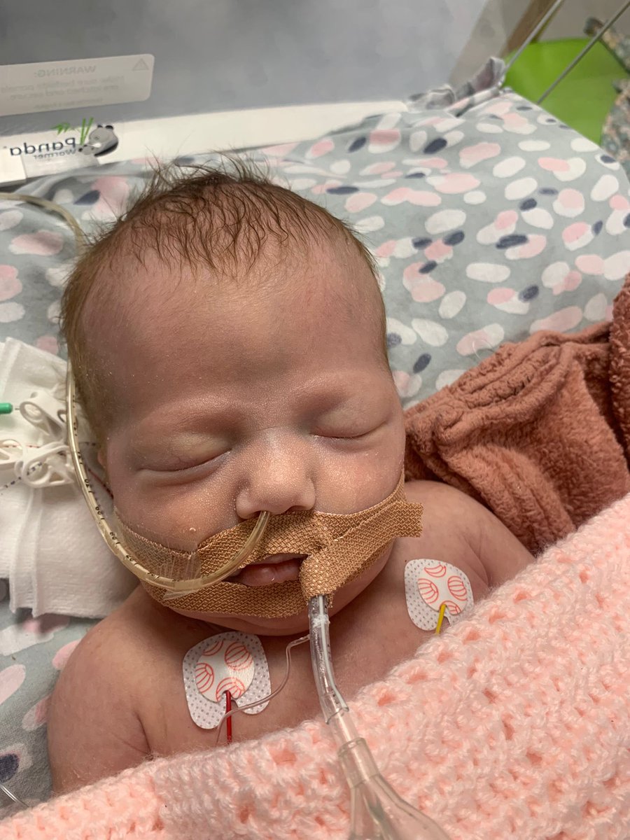 Sally Ogden tweet media