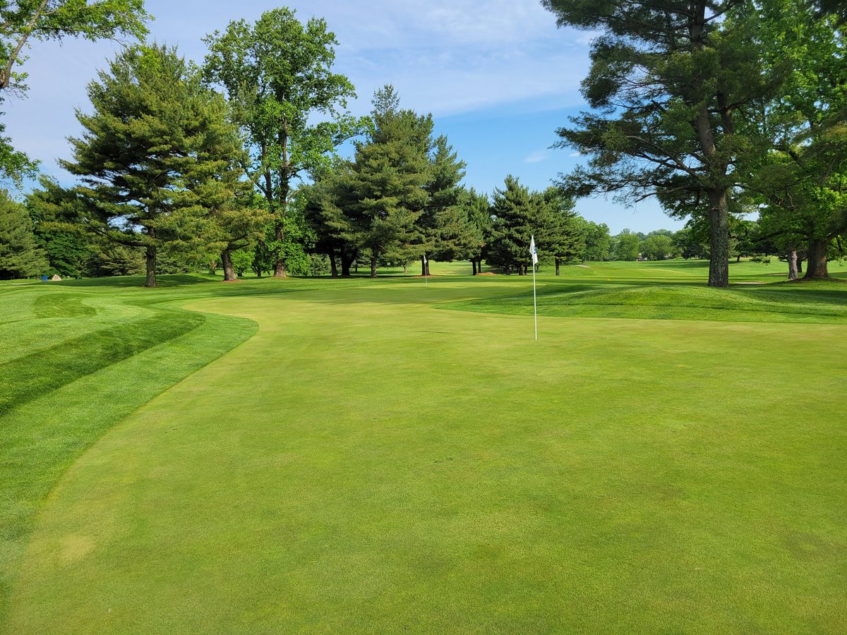 Blind Shots Podcast tweet media