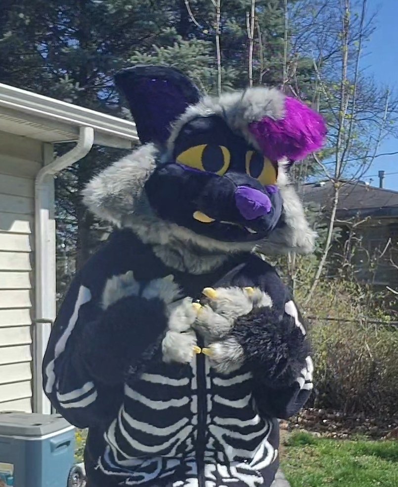 _furbeast's tweet photo. @DestrucTheBox It's actually a modified dino mask!  This is my actual fursuit https://t.co/X4izrvMMUh