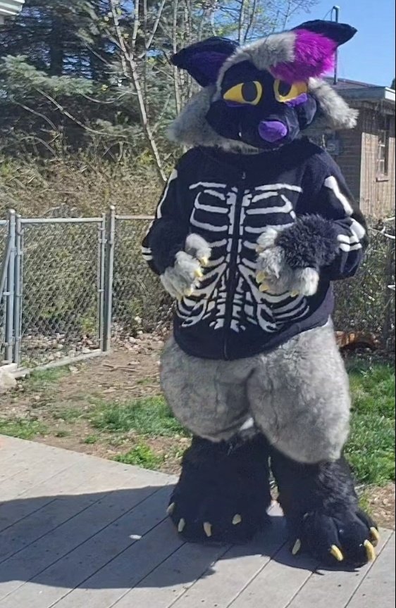 _furbeast's tweet photo. @DestrucTheBox It's actually a modified dino mask!  This is my actual fursuit https://t.co/X4izrvMMUh