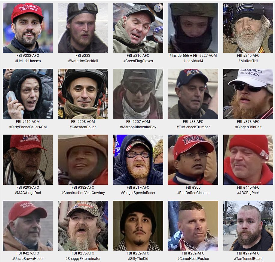 Wanted for crimes committed at the Capitol on #Jan6 #DoYouKnow these individuals?? Please contact the FBI tips.fbi.gov or contact us at admin@seditionhunters.org Please do not post names on social media