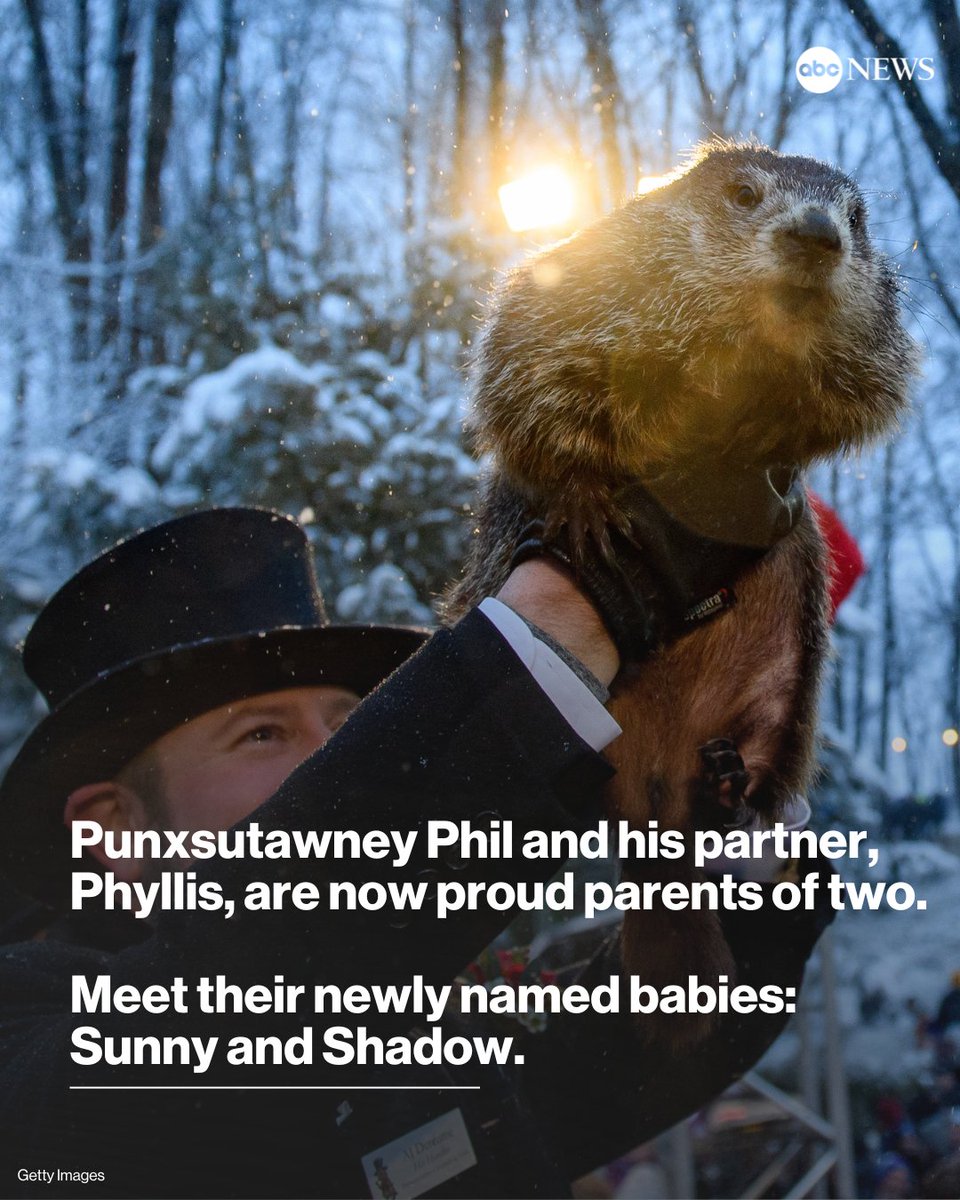 The groundhog babies of Punxsutawney Phil and his partner, Phyllis, now have names that just might help the famed weather-forecasting groundhog predict when spring will begin. trib.al/JsGi3Pt