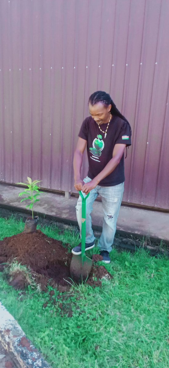 The Greening Drive Continues 💯 Mungu Mbele 🌳🌧️🤲🏽🇰🇪 Tomorrow Tuesday God Willing Our Trees Planting/Growing Activity Will Continue At Waithaka Health Center 9:30am. #TreesForBetterLives #OurEnvironmentOurResponsibility #ClimateAction #KeepDagorettiGreenAndClean #PowerOfOne