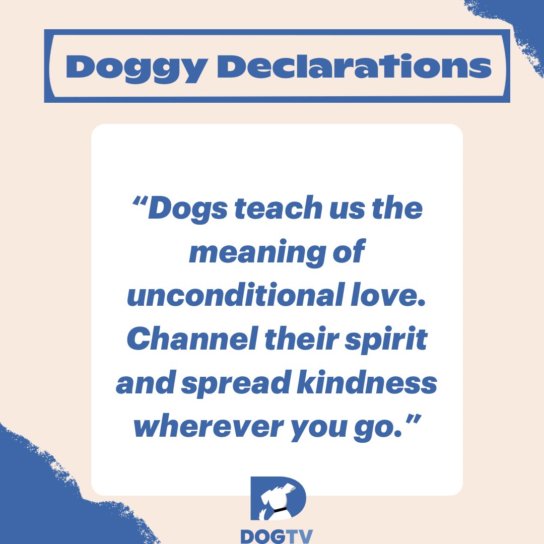 Channeling canine compassion today. Remember, just like our furry friends, spread love and positivity effortlessly. 🐾💖

#mondaymantra  #pawsitivevibes  #mondaymood  #petparents  #dogsofinstagram  #uplifitngquotes  #dogtv