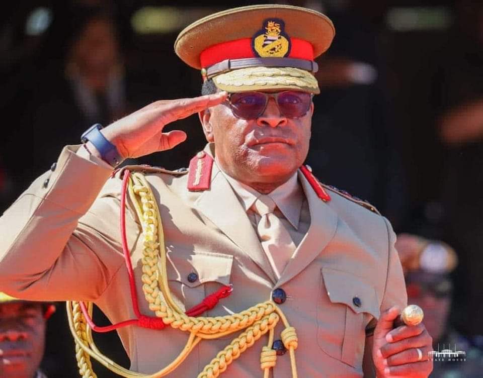 President Lazarus Chakwera, in his capacity as commander-in-chief of Malawi Defence Force (MDF), has appointed Alexander Jaffu as the new Deputy Commander of MDF. facebook.com/share/p/BV61ee…